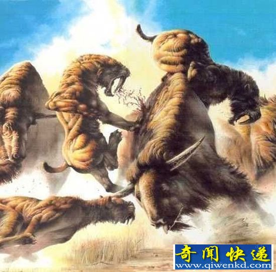 剑齿虎灭亡真相:猛犸象逃亡北极被饿死