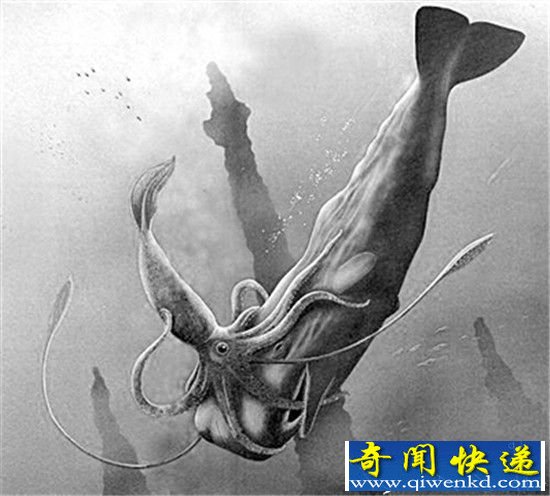 怪兽出没!地球上真实存在的野兽你看过几个?