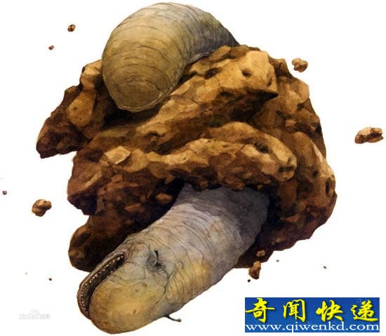 太空蛞蝓吞噬地球 星球大战幽灵蛞蝓揭秘