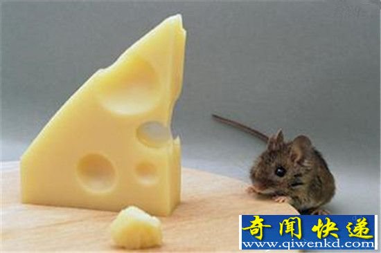 动物十大最逆天冷知识:蜗牛竟有2.5万颗牙齿!