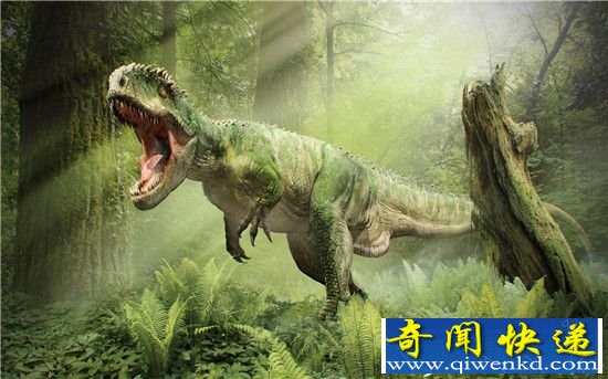 霸王龙进化之谜有了新发现 变大之前先变聪明