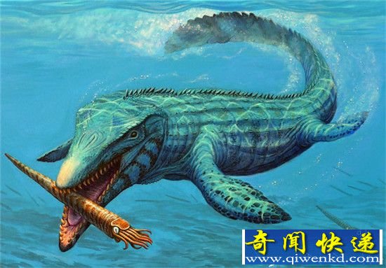 史前动物大揭密 马门溪龙有五楼高