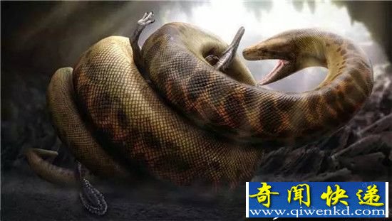 泰坦巨蟒身世大揭密15米长重1吨