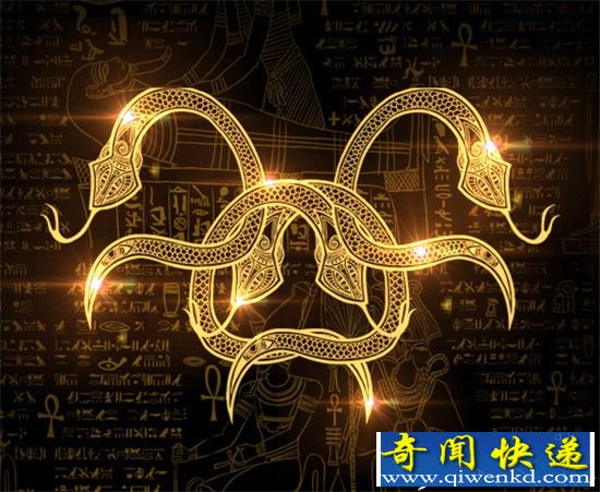 开发工地现人蛇大战 包工头跪地求饶