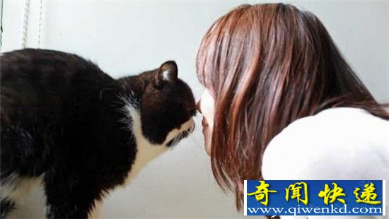 天啦噜!猫咪这八种动作是对你表达爱意哦