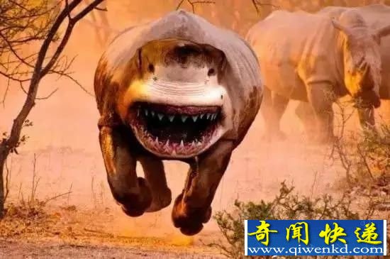 盘点:十大难以置信杂交出来的动物 大象与鸭子?