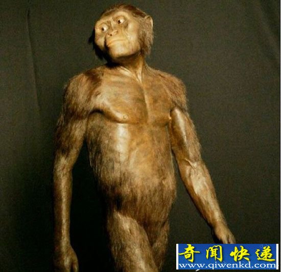 人类祖先是大脚野人?动物祖先都是远古巨兽