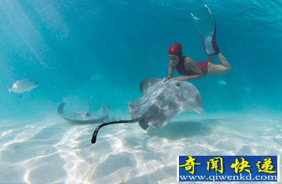 美丽女模特 在南太平洋海岛与剧毒刺鳐共舞