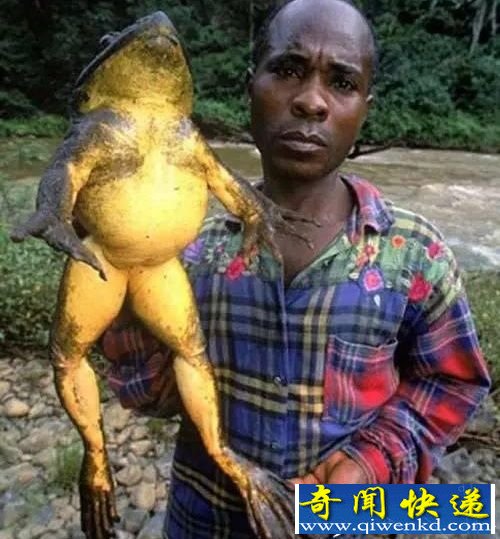 12־ް ֩繷