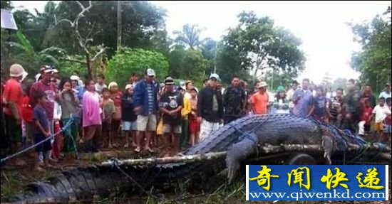 12־ް ֩繷