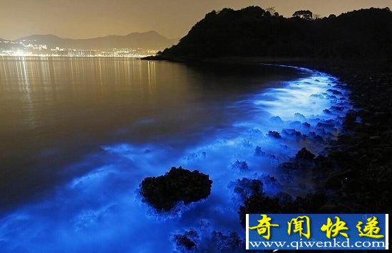 自然界七种发光生物盘点 夜空暗海的美妙风景