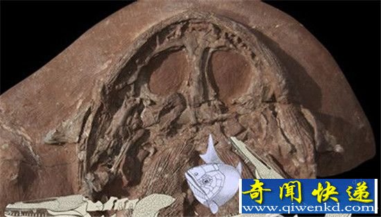 2.1亿年前动物化石 头部像马桶其丑无比