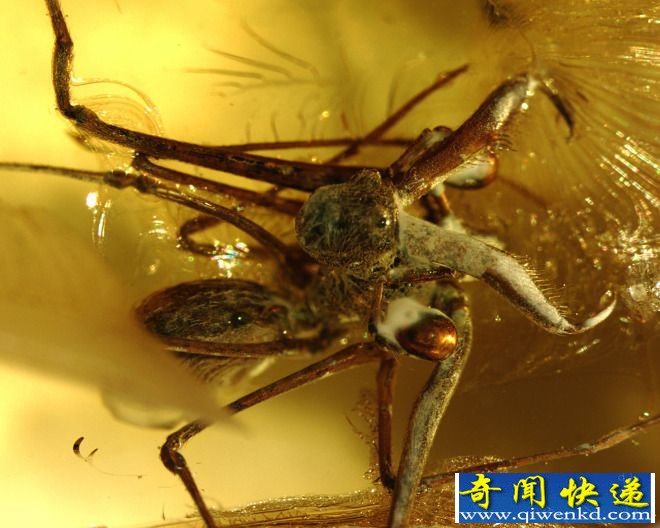 Ʒ֩룺ӳм仹뵹