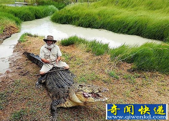 澳大利亚昆士兰男子:平时最爱骑鳄鱼玩耍