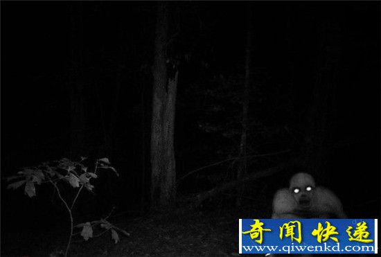 盘点:八大最神秘生物 疑似来自外星