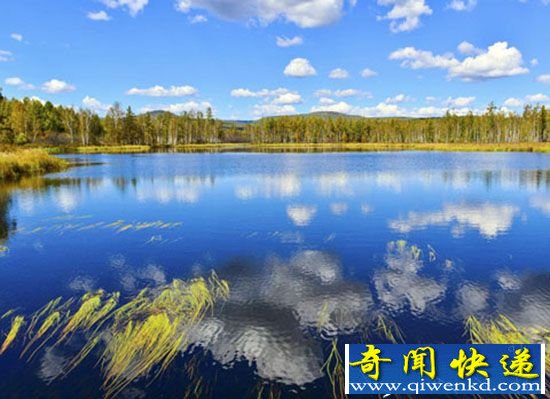 欣赏:阿尔山国家森林公园自然美景
