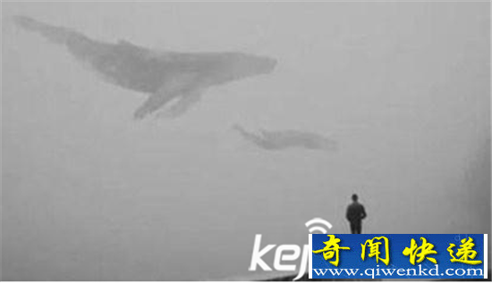 蓝鲸游戏50个任务是什么?参与者需完成什么样的任务