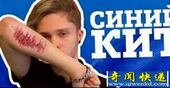 蓝鲸游戏50个任务是什么? 蓝鲸游戏内容完全揭晓