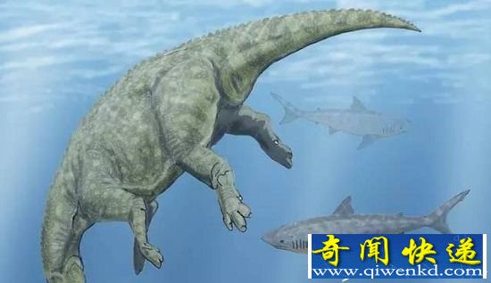 鲨鱼或与恐龙生活同一时代 史前生物的殊死之战