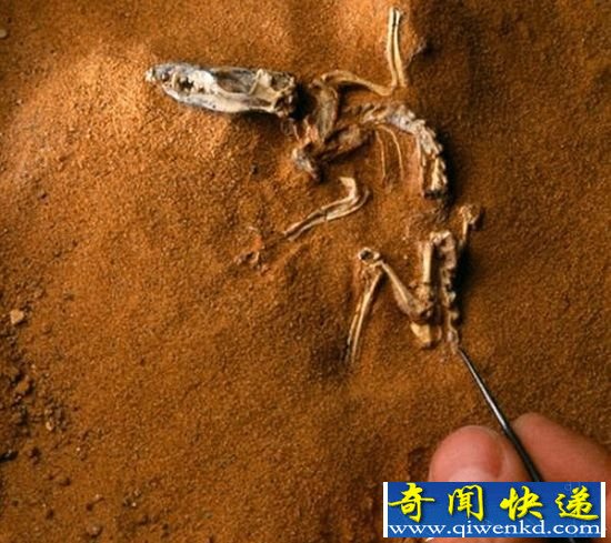 2ǰ鶯ݻը Ϳͬʱ