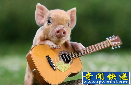 ж ںóԹ