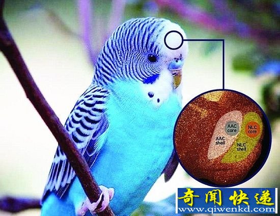 Ļ˵İ Խṹ