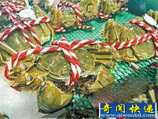 北京虾蟹市场猫腻 一只螃蟹一条塑料绳竟消费76元