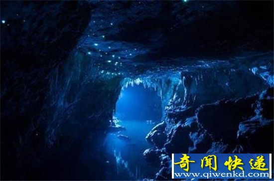 新西兰萤火虫神秘洞穴美哭了:进去后被彻底惊呆!
