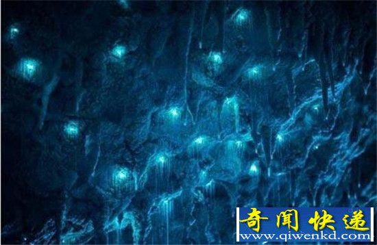新西兰萤火虫神秘洞穴美哭了:进去后被彻底惊呆!