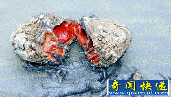 自然界十大奇景观 简直太不可思议了!
