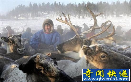 全球十大极寒之地盘点:挑战寒冷无极限