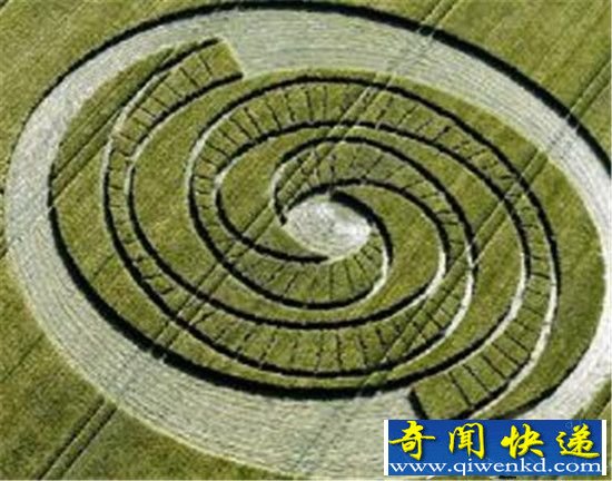 麦田怪圈未解之谜 竟是自然界的致命符号!