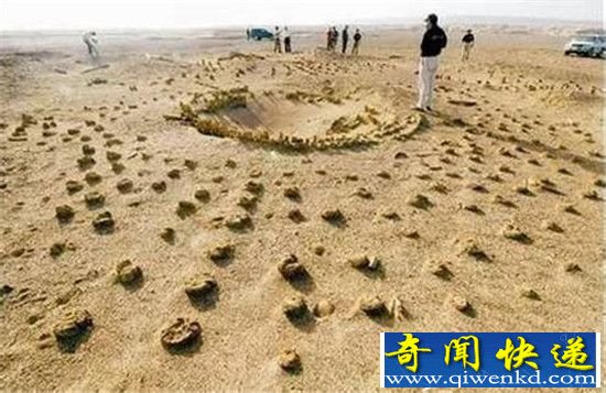 太阳墓葬之谜大揭密 沙漠的“太阳”!