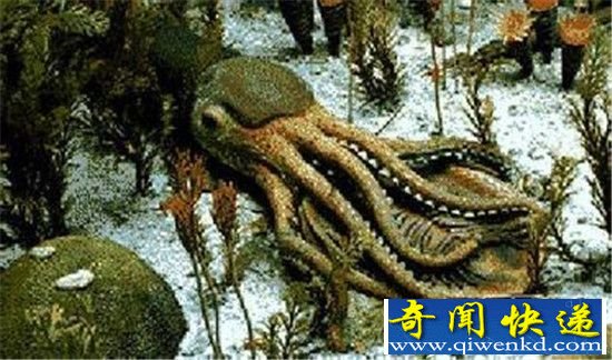 地球生物演变 2亿年前生物灭绝复苏之谜