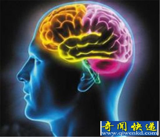 超自然能力将突破人类智慧极限 动物已具备!
