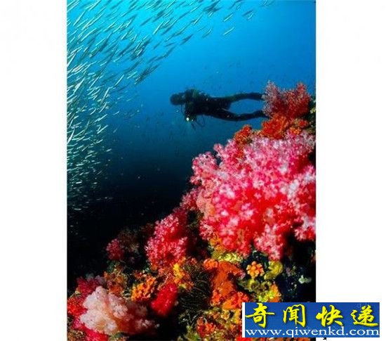 国家地理评选2015全球十大 最美旅游胜地!