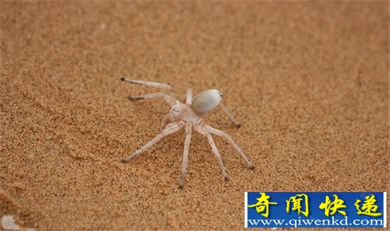 10大沙漠谜团大盘点 神秘又危险的禁地