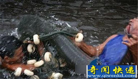 人头蛇身怪物震惊全球 或因千年极寒基因突变