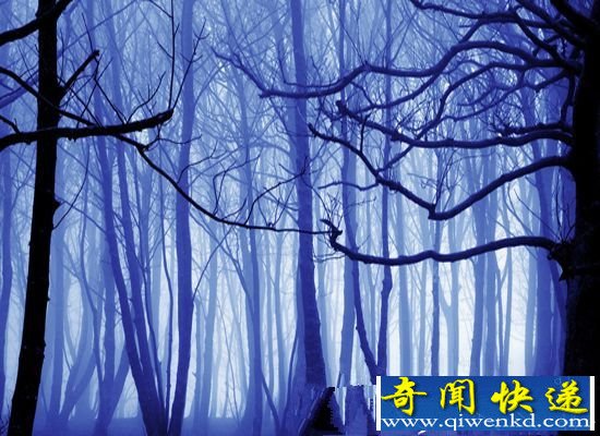 四川黑竹沟 人畜神秘失踪的"死亡地带"