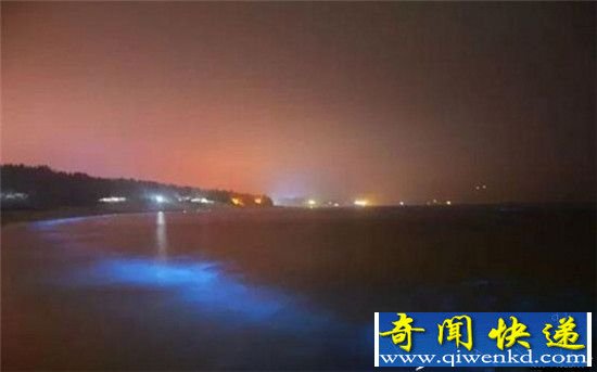 深圳惊现“荧光海”奇景 美妙犹如流动星空