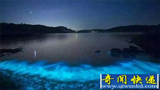 深圳惊现“荧光海”奇景 美妙犹如流动星空