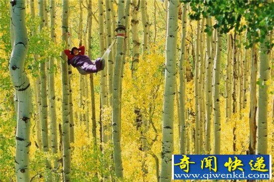自然地理!跨越地球去睡你 12个惊艳的吊床位置