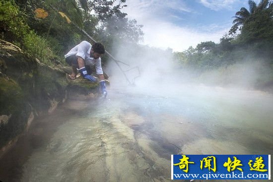 亚马逊丛林现神秘“沸腾河” 活物落入即死