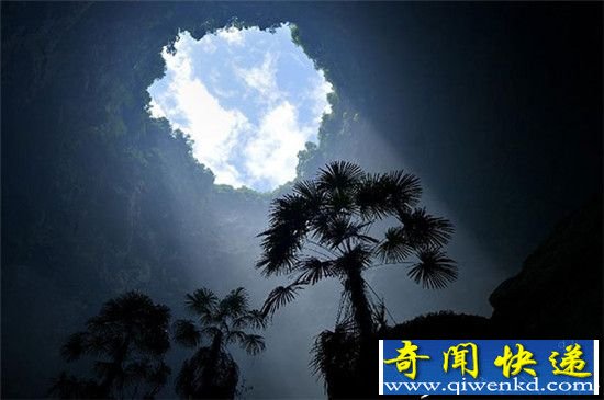 喀斯特地貌!喀斯特天坑一个拥有独立生态系统的天坑