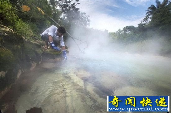 亚马逊现神秘“沸腾河” 河水可烫伤活物