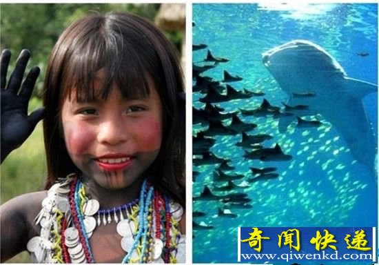 巴拿马“失踪岛”!毒蛇遍布鲨鱼环绕有去无回