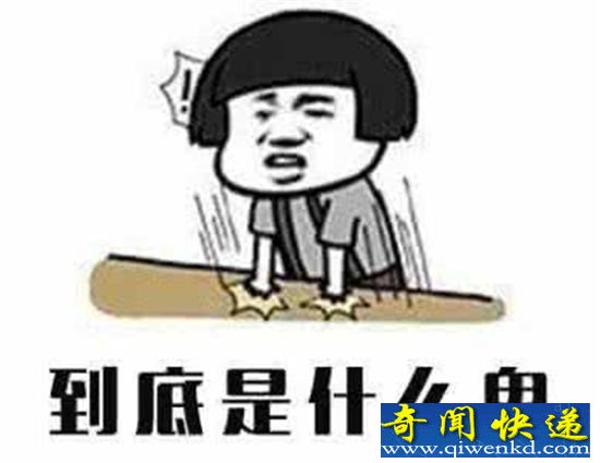 宝鸡最长名称公司 网友:一口气能读下来算我输