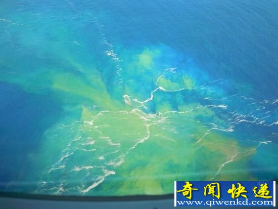 火山污染的海域 火山污染的海域