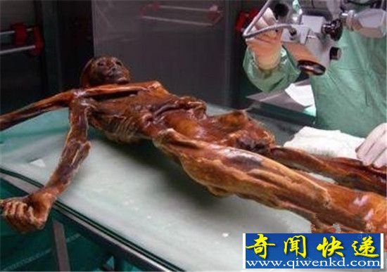 千年木乃伊连环杀人之谜 古老诅咒?