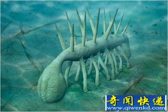 古生物怪诞虫的进化历程 竟从不死虫开始?